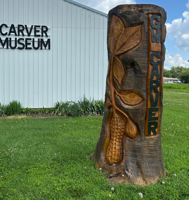 Carver Carving Outside Wooden sculpture of a peanut plant with GW CARVER carved into it, outside the Carver Museum